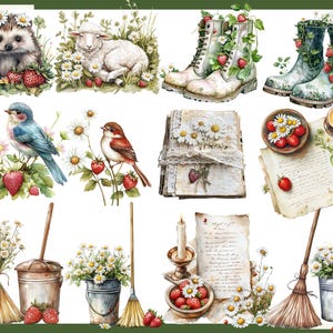 K&ouml;nnte beinhalten: Aquarellillustrationen mit rustikalem Cottagecore-Thema. Das Bild zeigt einen Igel, ein Lamm, V&ouml;gel, Stiefel und einen Besen, alle mit G&auml;nsebl&uuml;mchen und Erdbeeren verziert. Au&szlig;erdem Vintage-Papier und eine Kerze.