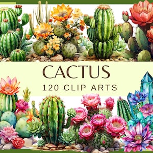 Puede incluir: Una colección de 120 imágenes de arte de clip de cactus en acuarela. Las imágenes presentan varios tipos de cactus, incluyendo la chumbera, el saguaro y el cactus barril. Los cactus se representan en una variedad de colores, incluyendo verde, marrón y rojo. Algunos de los cactus están floreciendo con flores rosas, amarillas y rojas. Las imágenes son perfectas para usar en scrapbooking digital, creación de tarjetas y otros proyectos creativos.