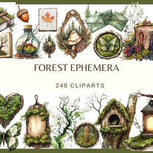 May include: Watercolor illustrations of forest-themed ephemera, including a book, acorn, maple leaf, mushroom, butterfly, owl, and a tree stump. The text "FOREST EPHEMERA" and "240 CLIPARTS" are also included in the image.