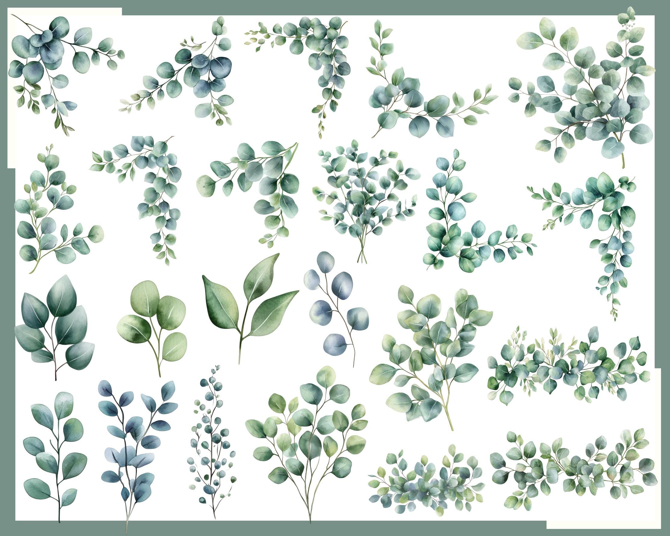 Eucalyptus Art: 160 PNG, 300 DPI Greenery Botanical Graphics Wedding ...