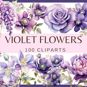 May include: A digital illustration of 100 watercolor violet flowers, including roses, wisteria, anemones, and peonies. The flowers are in various shades of purple and pink, with some having white accents. The text "VIOLET FLOWERS 100 CLIPARTS" is displayed on a pink banner.