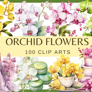 ORCHID FLOWERS - 100 clip arts (300 dpi, commercial use, bundle, digital, transparent background, floral macaroon cake floral teacup)