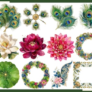 K&ouml;nnte beinhalten: Eine Sammlung digitaler Illustrationen mit Pfauenfedern, Lotusblumen und Blumenkr&auml;nzen. Das Set enth&auml;lt einzelne Federn, eine wei&szlig;e Lotusblume, eine dunkelrosa Lotusblume, eine rosa Dahlie, kreisf&ouml;rmige Kr&auml;nze und dekorative Rahmen.