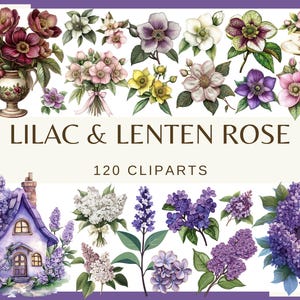 LILAC & LENTEN ROSE - 120 klipartów (300 dpi, kwiatowy, natura, ogród, bez w wazonie, bukiet na ciasto png wiosenny kwiat, domek wróżki, drzewo)