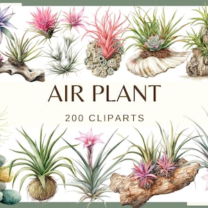 monstera potting mix Ropey Root Potting Mix for Tropical Houseplants