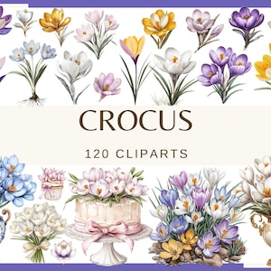 Peut inclure: Une collection de 120 illustrations aquarelle de crocus dans différentes couleurs, notamment le violet, le jaune, le blanc et le bleu. Les illustrations sont disposées en grille et sont parfaites pour une utilisation dans des projets numériques ou imprimés.