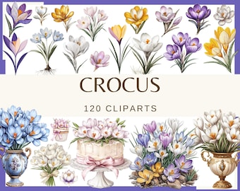 Crocus Clipart: Watercolor Spring Flowers, 120 PNG Graphics (Digital Download)