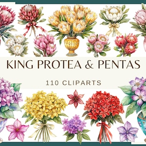 May include: Watercolor illustrations of King Protea and Pentas flowers in various colors and arrangements. The flowers are depicted in vases and bouquets, with some featuring ribbons and bows. The text "KING PROTEA & PENTAS 110 CLIPARTS" is displayed at the top of the image.