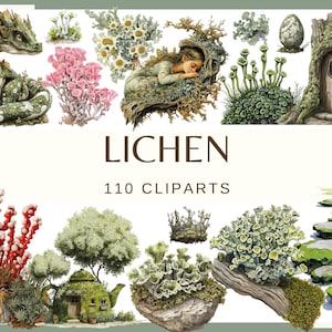 Op de afbeelding: Een digitale kunstcollectie met verschillende illustraties van korstmossen, waaronder een draak, een slapende figuur en een boom met een deur. De tekst "LICHEN" en "110 CLIPARTS" zijn in de afbeelding weergegeven. Het kleurenpalet bevat groen, roze en bruin.