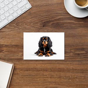 Cavalier King Charles Spaniel negro y fuego - Tarjeta de raza en blanco