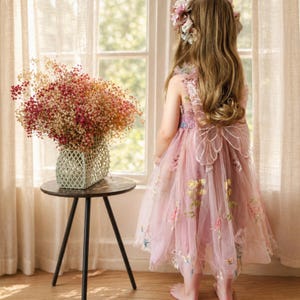 Peut inclure: Une jeune personne porte une robe en tulle rose avec des d&eacute;tails de papillons et un serre-t&ecirc;te floral. La robe pr&eacute;sente des fleurs brod&eacute;es et des ailes de papillon. Un bouquet de fleurs s&eacute;ch&eacute;es est pos&eacute; sur une petite table pr&egrave;s d'une fen&ecirc;tre.