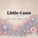 LittleCues.AU