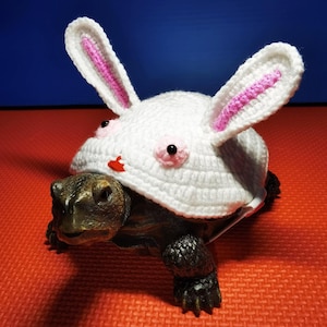Personalized pet clothing, Suitable for Brazilian tortoises,Handmade custom turtle swerseat,Water turtles, Gifts for pet lovers, Present