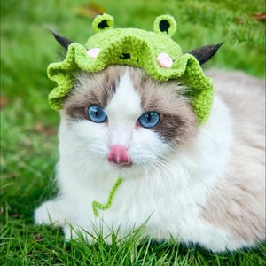 Cat Sombrero Crochet Pattern,crochet hats for cats,pet Christmas outfits, gifts for cat lovers,cat accessories,Crocheted Hat For Cat