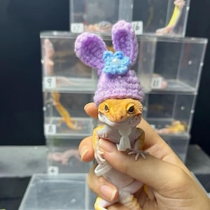 Custom Hamster Hat,Chinchilla Hat,Bird Hat, Handmade Hamster Hat,Custom Sugar glider Hat,Guinea pig Hat,lizard/frog//hat reptile hat