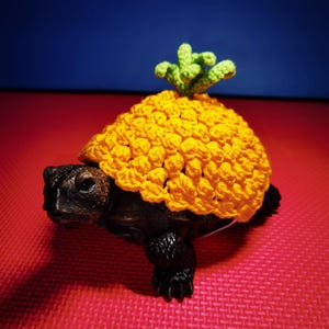 Handmade custom turtle sweaters, Personalized pet clothing, Suitable for Brazilian tortoises, Water turtles, Gifts for pet lovers, Present