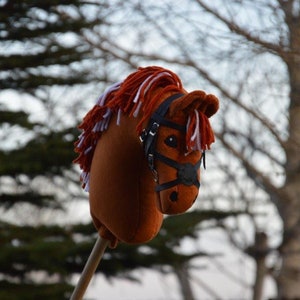 Koń hobbystyczny kucyk rudy SRS Oden z uzdą image 4