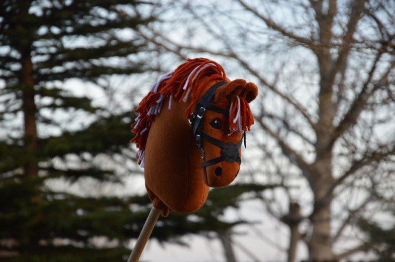 Koń hobbystyczny kucyk rudy SRS Oden z uzdą image 4