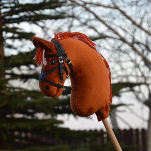 Koń hobbystyczny kucyk rudy SRS Oden z uzdą image 1