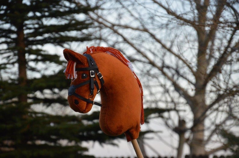 Koń hobbystyczny kucyk rudy SRS Oden z uzdą image 6