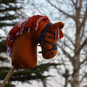 Koń hobbystyczny kucyk rudy SRS Oden z uzdą image 8