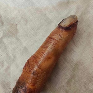 Fake Abgetrennter Finger Prop Blutig Verrottender Necronomicon Finger Horror Körperteil SFX Halloween