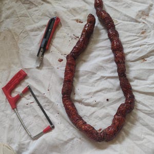 Realistic Bloodied  Gore Intestines Horror Prosthetic Halloween Movie Prop
