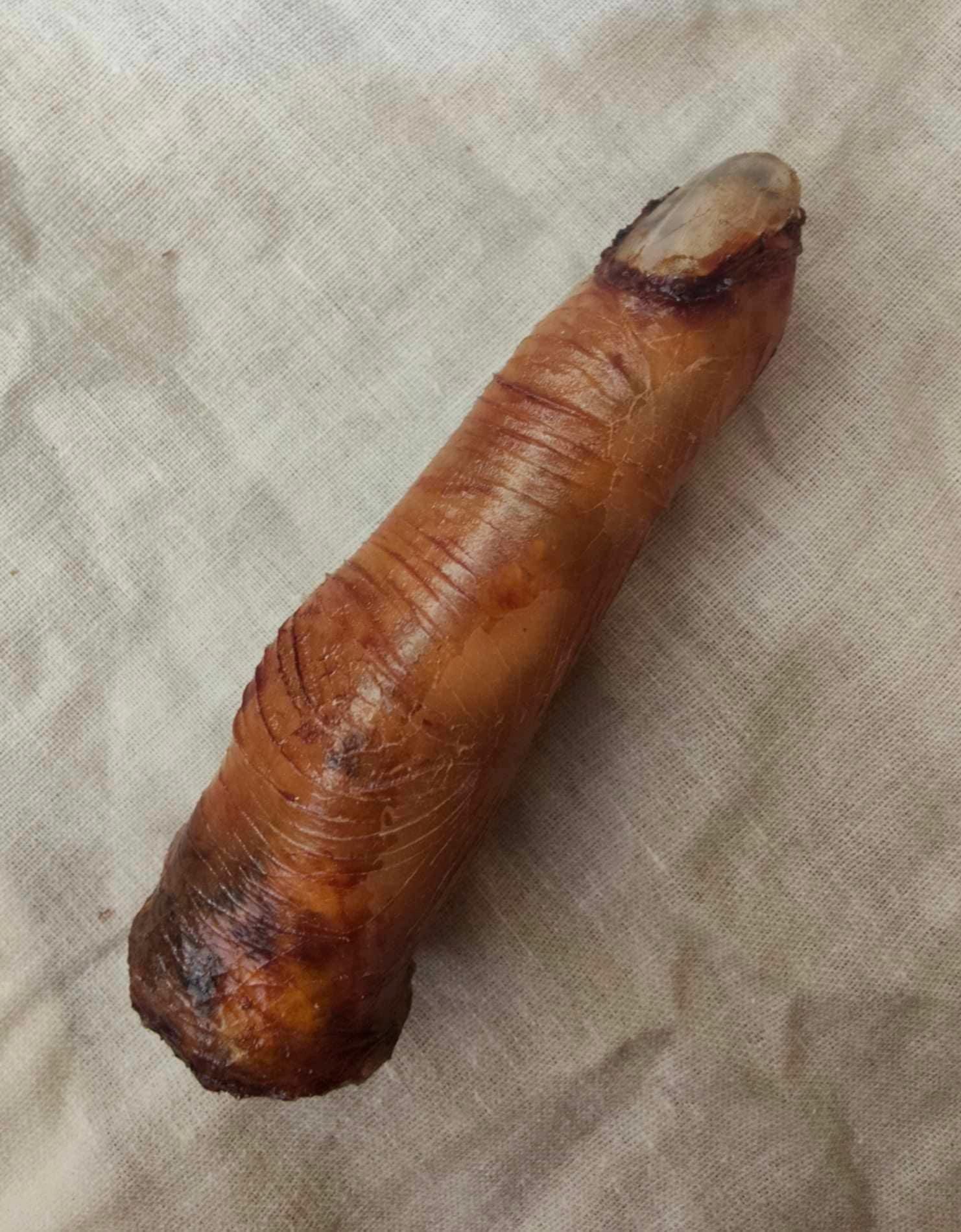Fake Severed Finger Prop Bloody Rotting Necronomicon Finger Horror Body Part SFX Halloween