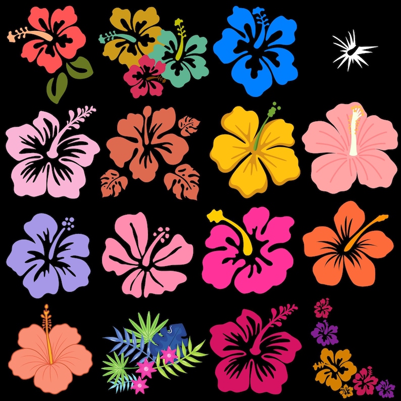 Hibiscus Flower SVG Bundle, Tropical Floral Clipart (digital Download ...