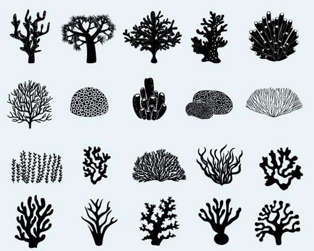 Coral Reef SVG Bundle: Ocean Life Clipart, Cricut & Silhouette Cut ...
