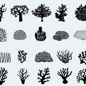 Coral Reef SVG Bundle: Ocean Life Clipart, Cricut & Silhouette Cut Files