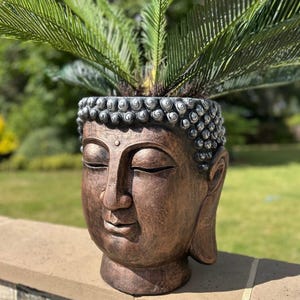 May include: A bronze-effect Buddha head plant pot, filled with green palm-like leaves. The pot has a textured surface and is placed on a brick and stone wall, outdoors in a garden setting.