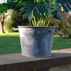 May include: A grey metal planter with a tree design and the word "HERITAGE" contains a large green plant. The planter has rope handles and sits on a brick wall. The plant has large, deeply lobed leaves.