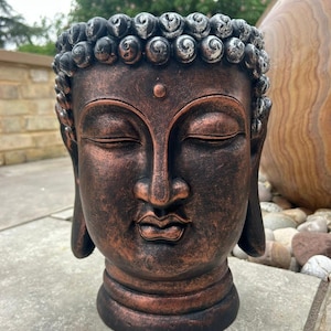 May include: A bronze-coloured Buddha head planter with closed eyes and detailed facial features. The planter has a textured surface and a dark brown base. The top of the head features a silver-coloured, textured design.