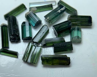 Lotto grezzo di tormalina blu e verde (13,30 Crt)
