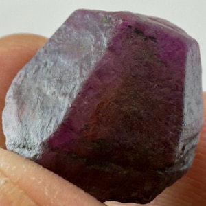Raw Corundum Crystal: 36.50 Carat Ruby Sapphire Family Gemstone