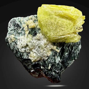 Könnte beinhalten: Nahaufnahme einer Mineralprobe mit einer großen, leuchtend gelben Kristallformation auf einer dunkelgrünen und grauen Matrix. Der gelbe Kristall hat ein geschichtetes Aussehen, und die Matrix hat eine raue, strukturierte Oberfläche.