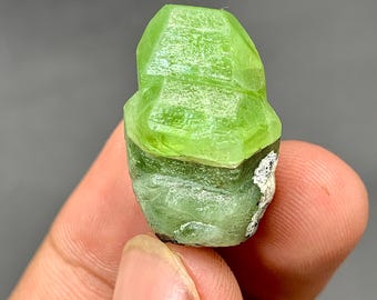 719.35カラットの原石ペリドット標本：天然グリーン8月誕生石