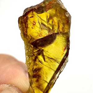 Könnte beinhalten: Ein durchscheinender, bernsteinfarbener Edelstein mit rauer, unregelmäßiger Form. Der Stein hat einen goldenen Farbton mit dunkleren braunen Einschlüssen und wird zwischen Fingern vor weißem Hintergrund gehalten. Der Edelstein ist wahrscheinlich ein rohes, ungeschliffenes Exemplar.
