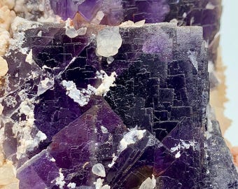 Op de afbeelding: Close-up van een natuurlijk fluoriet exemplaar. De kristalstructuur heeft diepe paarse en zwarte tinten met witte en beige accenten. De fluorietkristallen hebben een kubische vorming, met een ruw, getextureerd oppervlak.