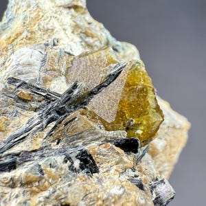 Könnte beinhalten: Nahaufnahme einer Mineralprobe mit einer markanten, goldgelben Kristallformation. Der Kristall ist in eine Matrix aus beigem und hellbraunem Gestein eingebettet, mit dunklen, nadelförmigen Einschlüssen.
