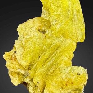 Könnte beinhalten: Nahaufnahme einer leuchtend gelben Mineralprobe vor einem dunkelgrauen Hintergrund. Das Mineral hat eine raue, strukturierte Oberfläche mit sichtbaren kristallinen Strukturen und einem geschichteten Aussehen. Die Farbe ist ein leuchtendes, sonniges Gelb.