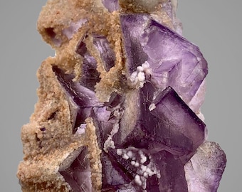 Op de afbeelding: Een close-up van een paarse fluorietkristalgroep met kubische formaties. Het kristal heeft een diepe violette kleur met een doorschijnende kwaliteit. De fluoriet is gezet in een matrix van beige en witte mineralen.