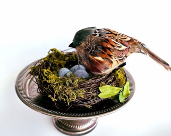 Bird Nesting Spring Vignette. Spring Home Décor