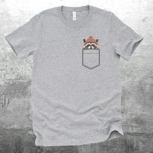 May include: A heather gray t-shirt with a pocket featuring a raccoon wearing a red beanie hat.