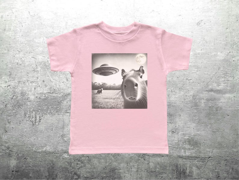 May include: Pink t-shirt with a black and white image of a capybara looking up at a UFO in the sky. The image also shows a small animal in the distance.