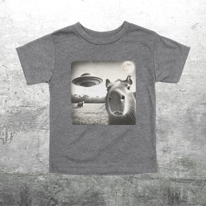 May include: A gray t-shirt with a black and white image of a capybara looking at the camera. The image also includes a flying saucer in the background.