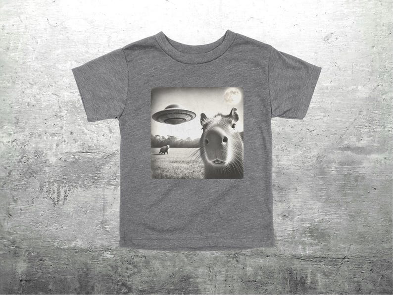 May include: A gray t-shirt with a black and white image of a capybara looking at the camera. The image also includes a flying saucer in the background.