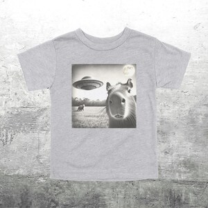 May include: A gray t-shirt with a black and white image of a capybara looking up at a flying saucer. The image is in a retro style.
