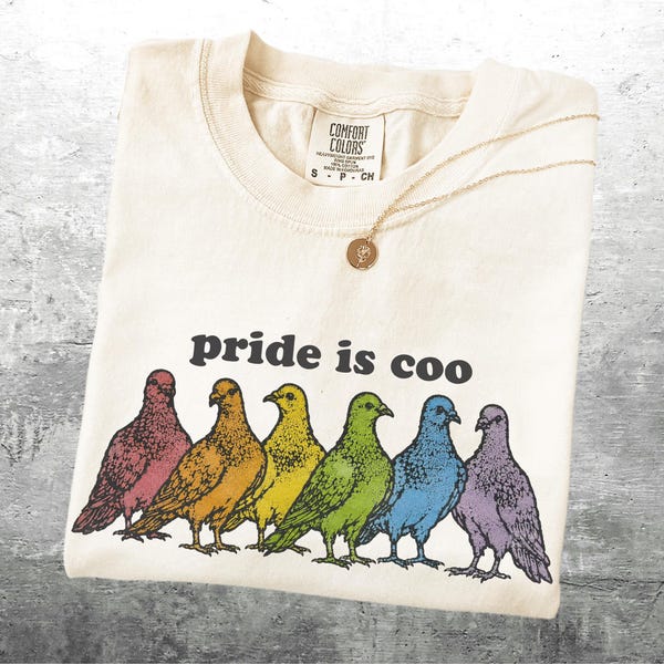 LGBTQ Pride Shirts, Pride Is Coo, Womens, Mens, Unisex Comfort Colors T-shirt